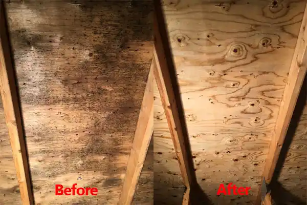 water damage restoration service Dover